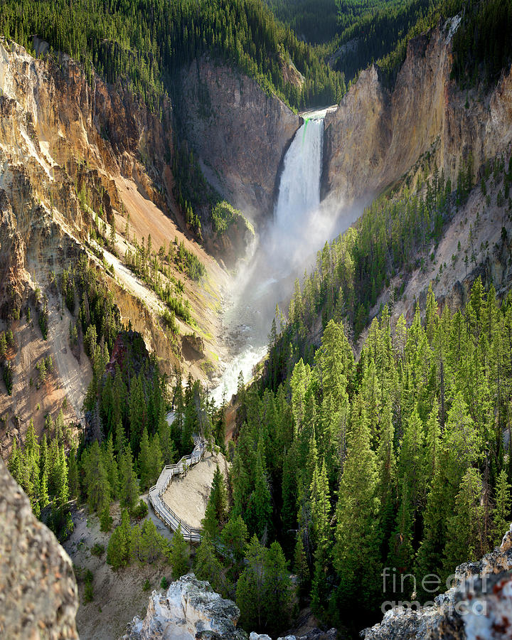 Wide View of Yellowstone Lower Falls II Photograph by Karen Jorstad