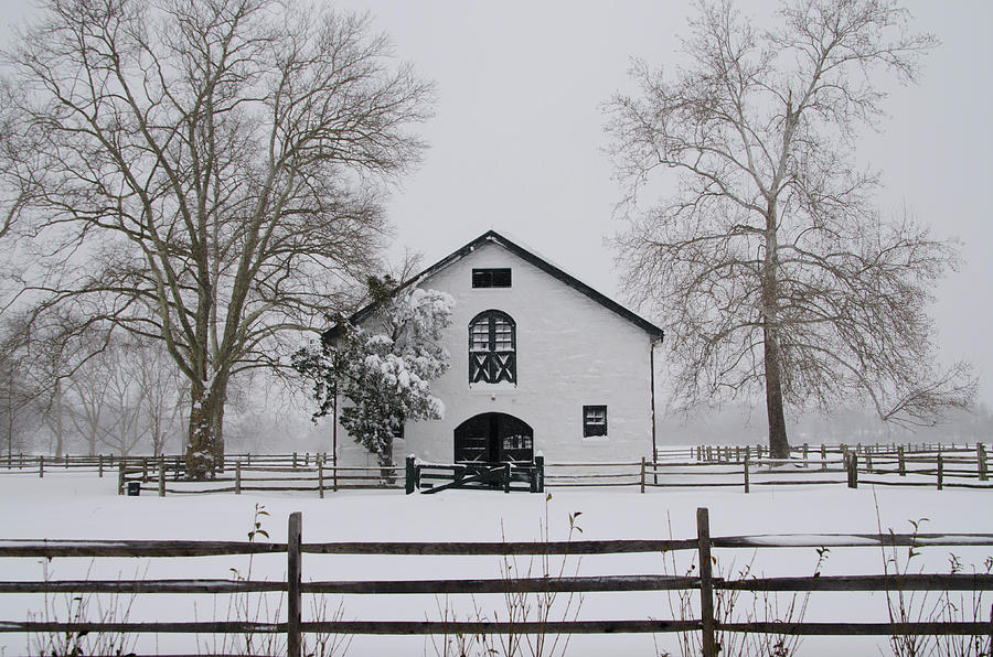 Widener Horse Farm in the Snow Photograph by Bill Cannon