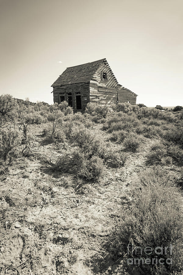 Widtsoe Utah Ghost Town Photograph by Edward Fielding