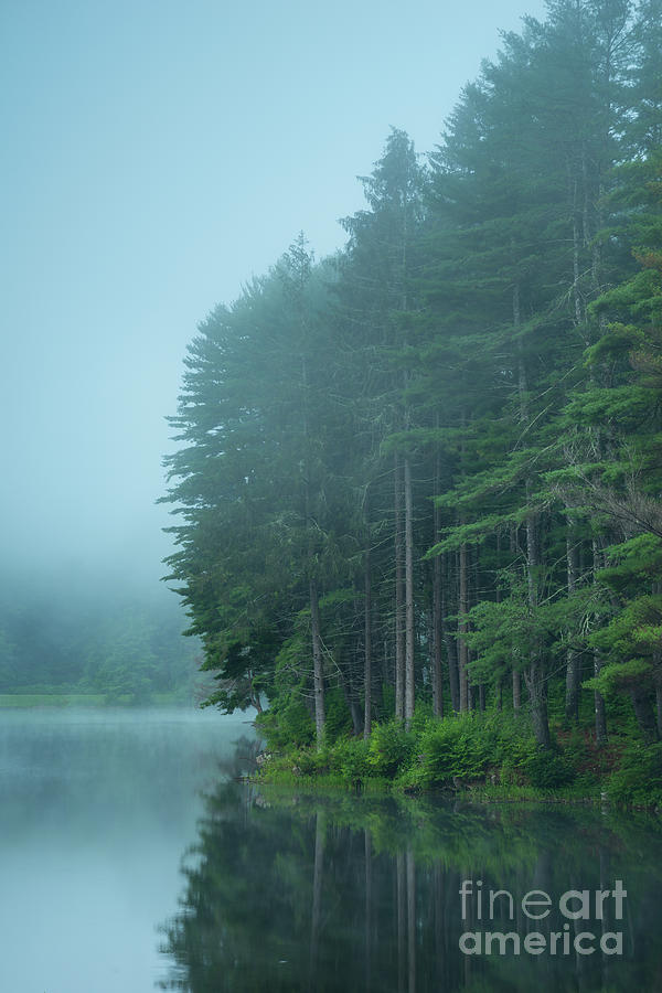 Wigwam Blue - Misty Lake Photograph by JG Coleman