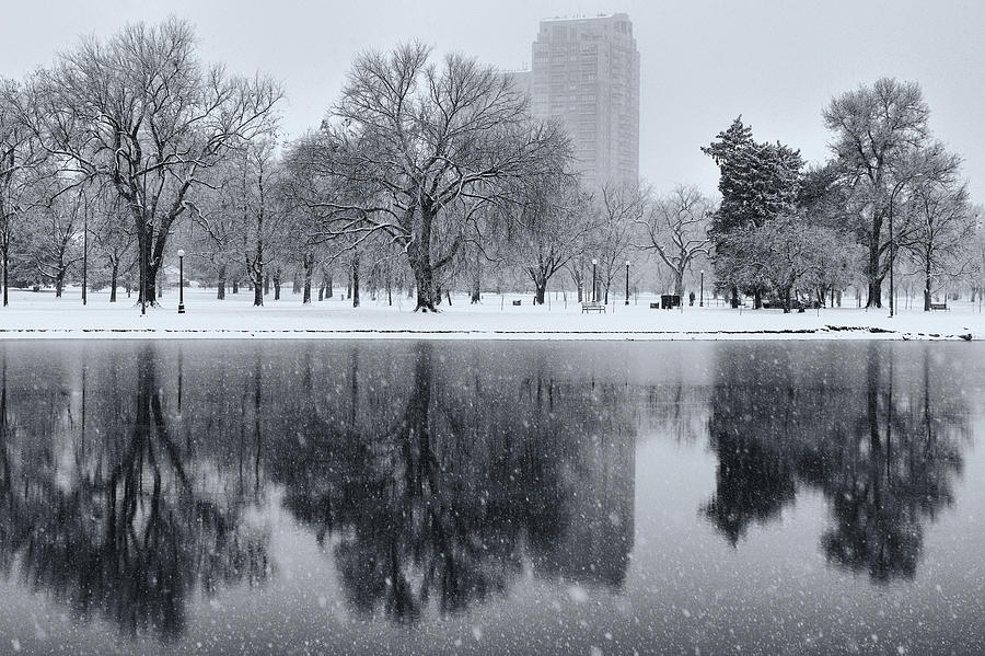Denver Photograph - Snowy reflections of trees in lake at City Park, Denver CO  by Philip Rodgers
