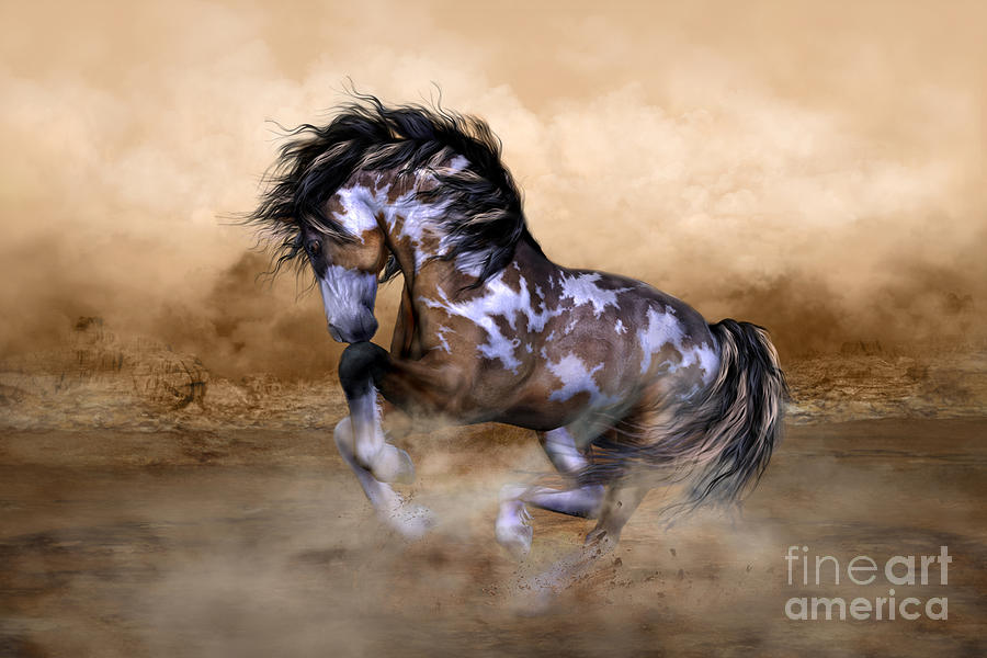 Wild and Free Horse Art by Shanina Conway Wild and Free Horse Art by Shanina Conway