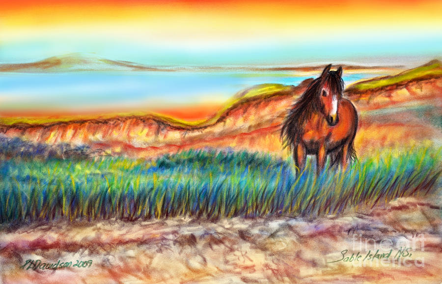 Horse Painting - Wild and Free Sable Island Horse by Pat Davidson