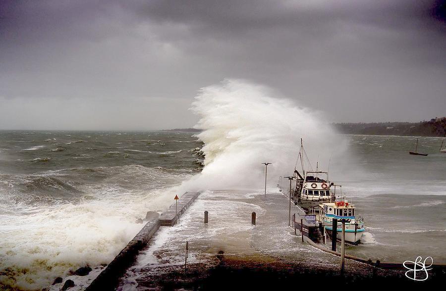 Wild and wooly weather Photograph by Bernadette Mether - Fine Art America