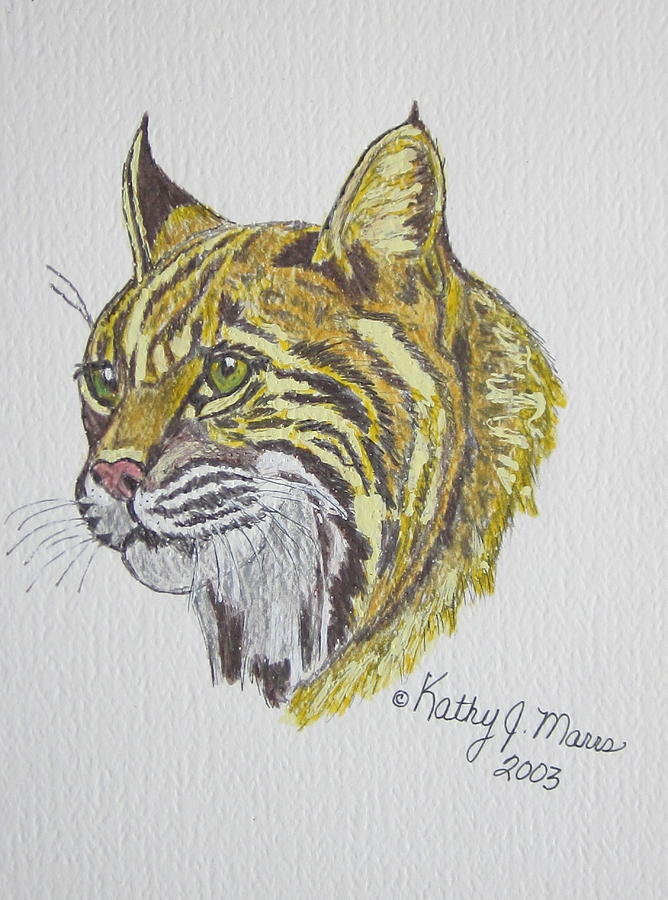 Wild Bobcat Painting by Kathy Marrs Chandler