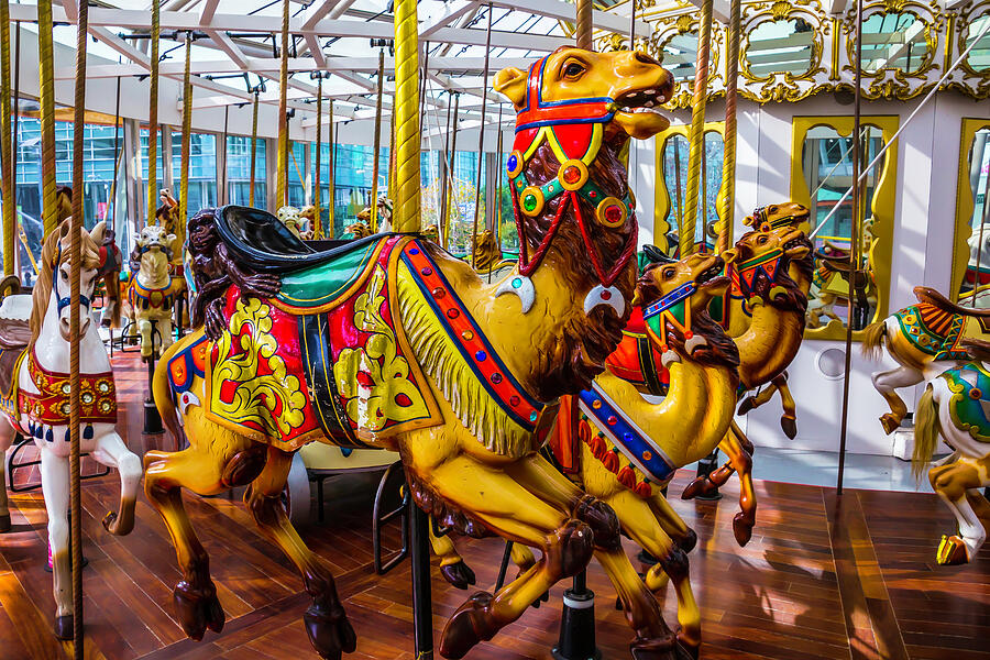 Wild Camel Carrousel Ride Photograph by Garry Gay