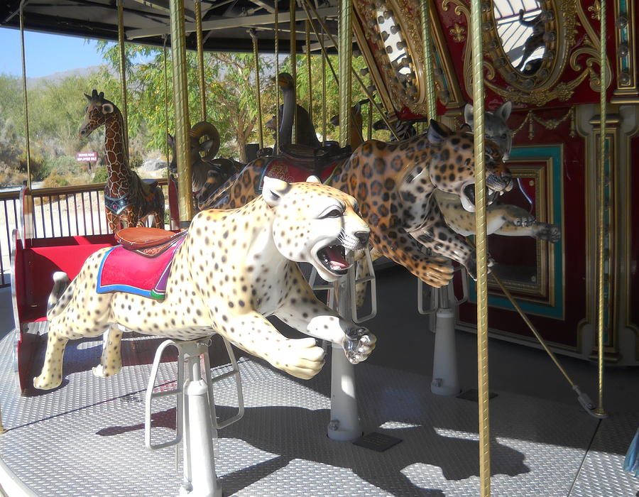 Wild Cats on Merry Go Round Photograph Photograph by Colleen Cornelius