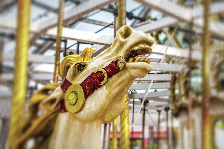 Wild Childhood Carrousel Horse Photograph by Garry Gay