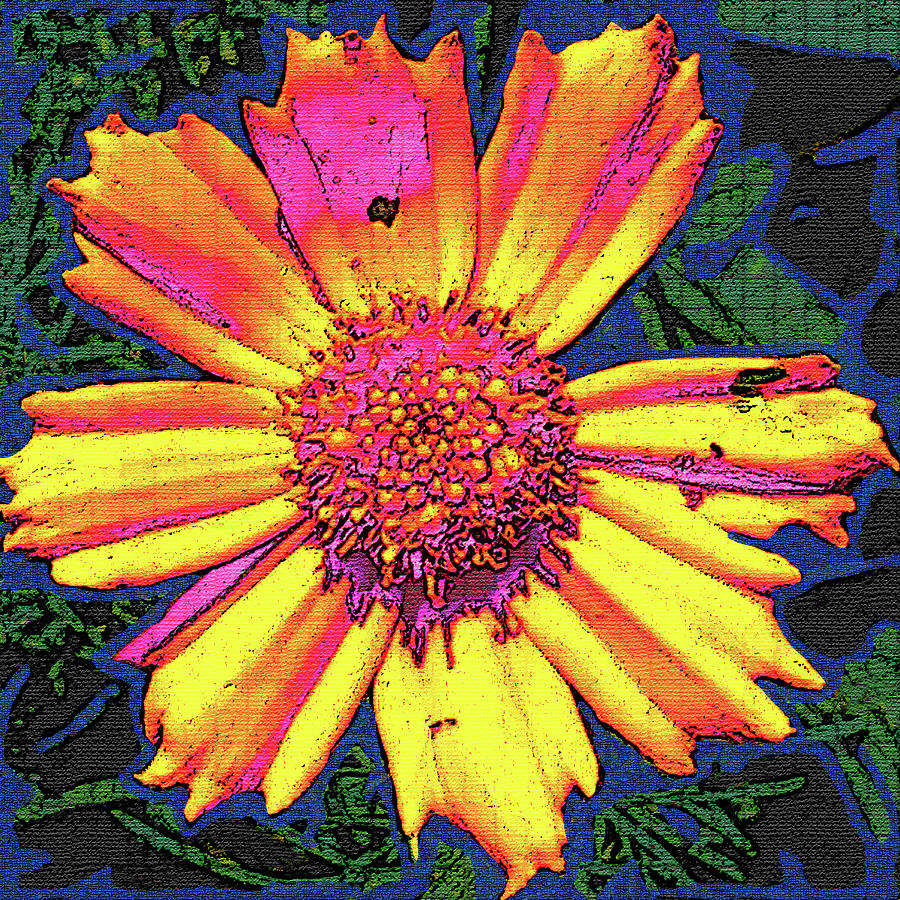 Wild Coreopsis Digital Art by Rod Whyte