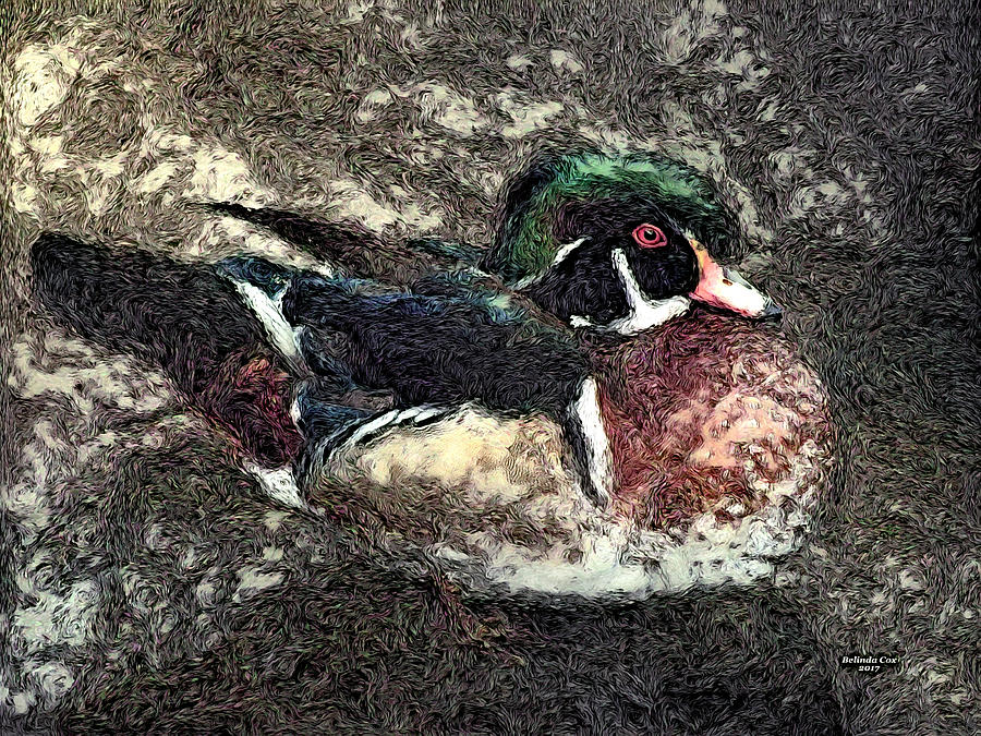 Wild Duck Digital Art by Artful Oasis