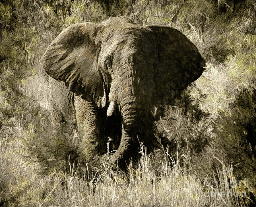 Wild Elephant of Africa Digital Art by Syed Muhammad Munir ul Haq