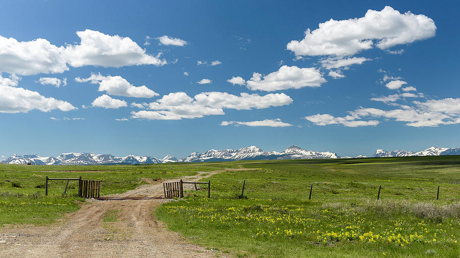 Wild fields of northern Montana Photograph by Larisa Grib