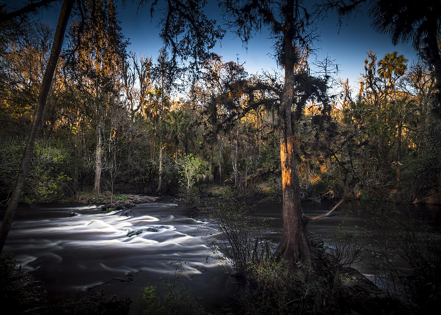 Wild Florida by Marvin Spates Wild Florida by Marvin Spates