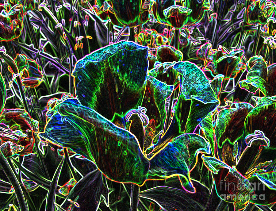 Tulip Digital Art - Wild Flower Colorful Tulip Abstract by Adri Turner