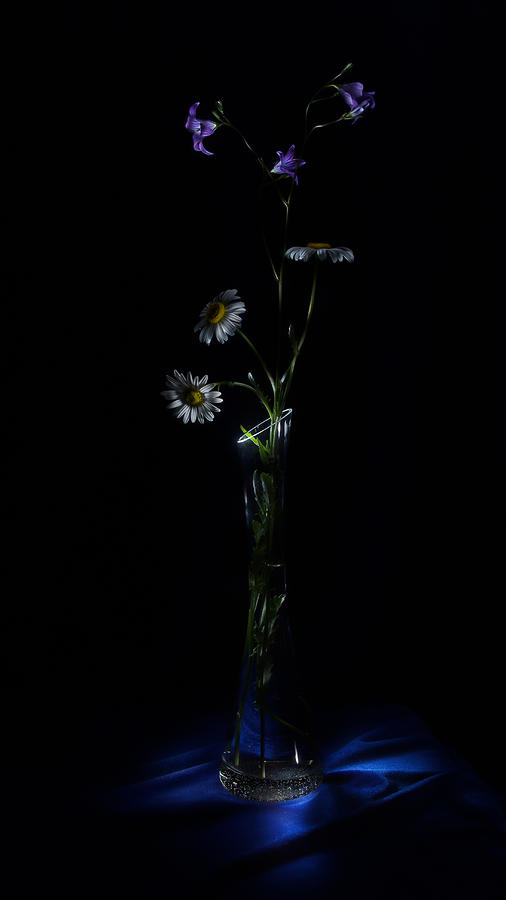 Wild flowers Photograph by Alexey Kljatov