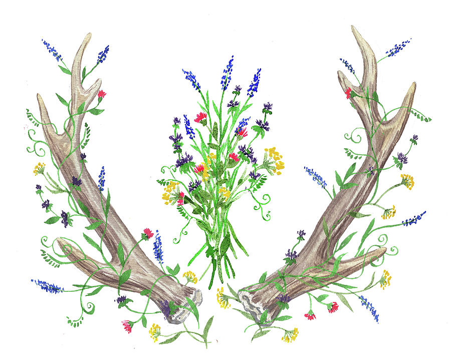 Wild Flowers And Antlers Watercolor Painting by Irina Sztukowski