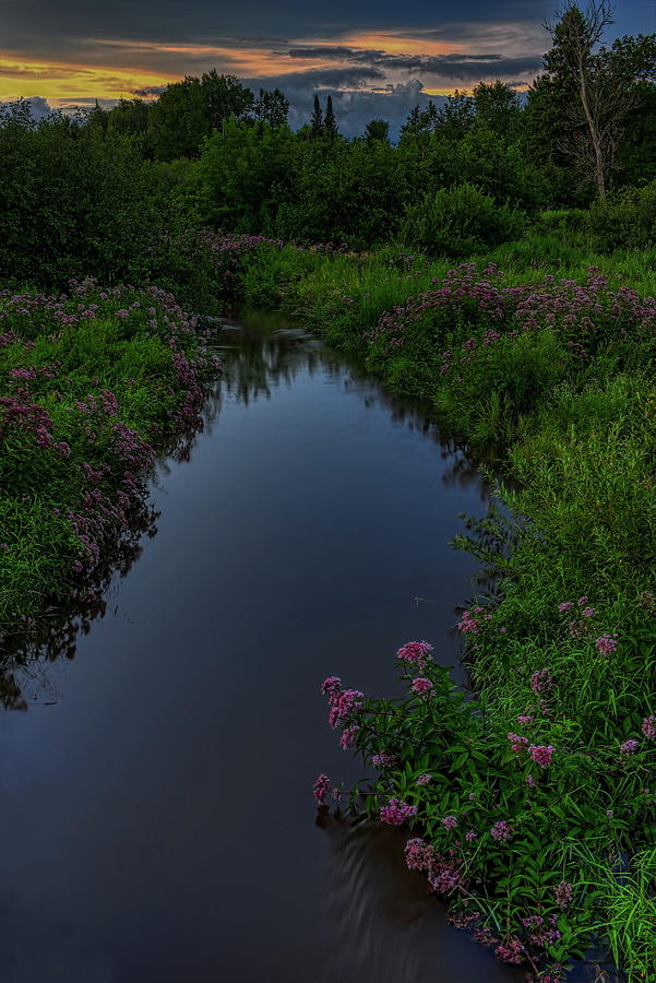Wild Flowers And Little Rib River Photograph by Dale Kauzlaric