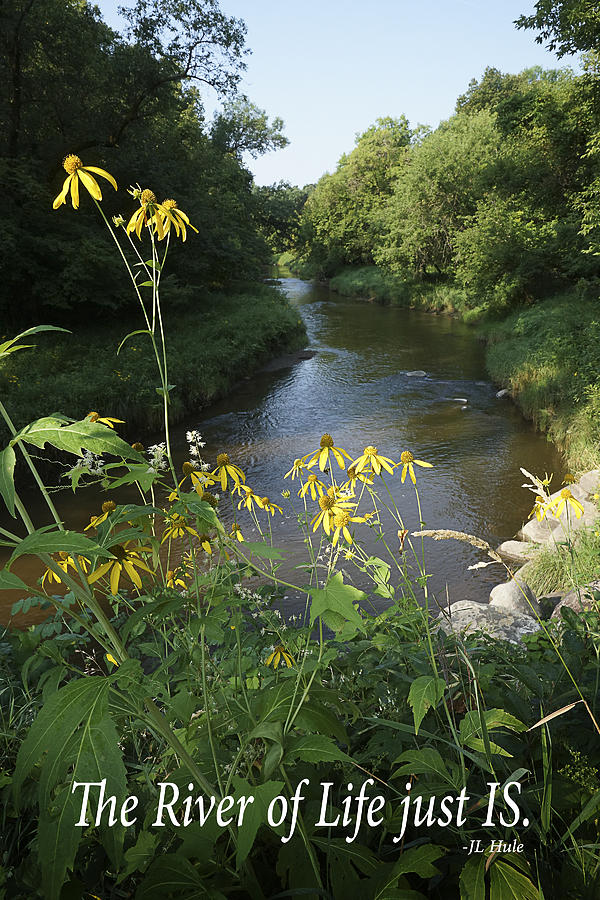 Summer Photograph - Wild Flowers and River with Inspirational Text by Donald  Erickson