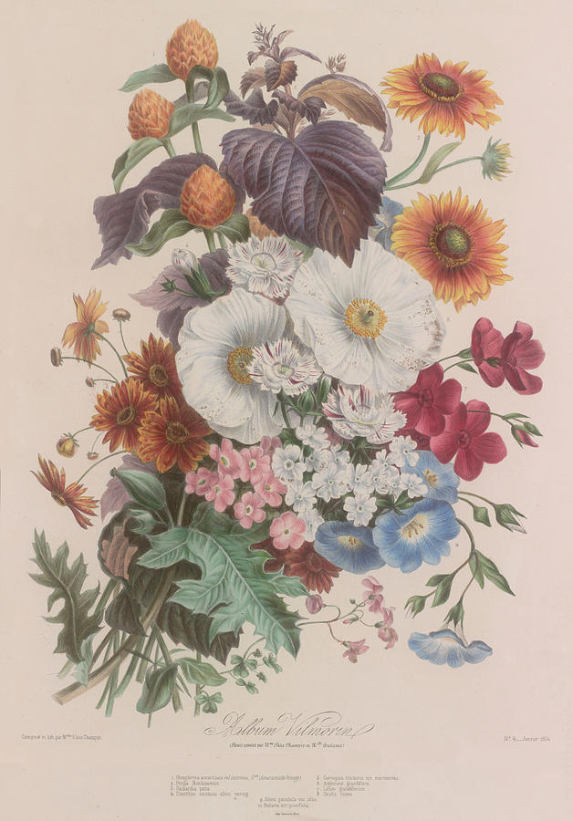 Vintage Flower Bouquet