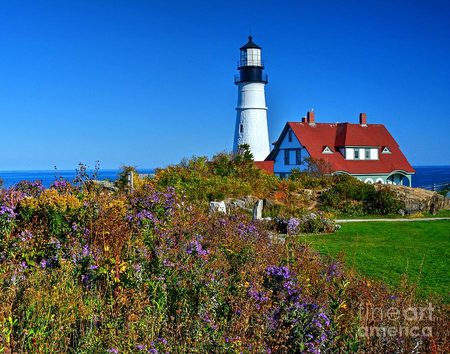 Wild Flowers Fading at the Portland Head Light Photograph by Steve Brown