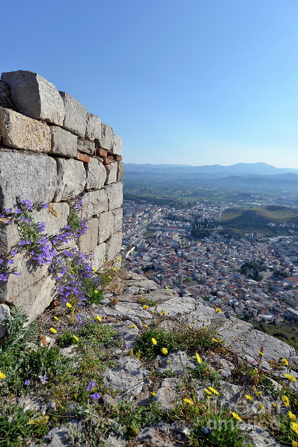 Wild flowers on a loophole in Palamidi castle Photograph by George Atsametakis