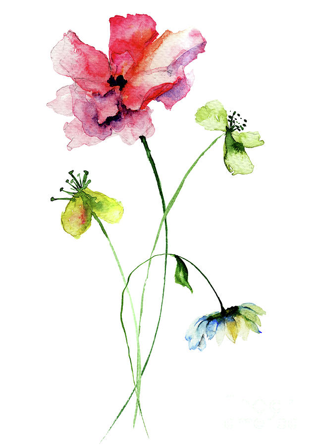 Flower Painting - Wild flowers watercolor illustration by Regina Jershova