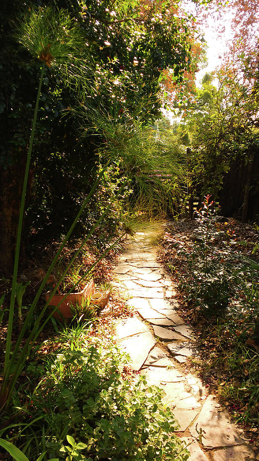 Wild garden path Photograph by Michael African Visions