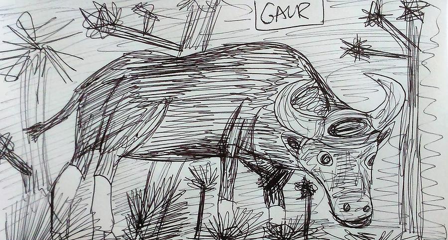 Wild Gaur by Andrew Blitman Wild Gaur by Andrew Blitman