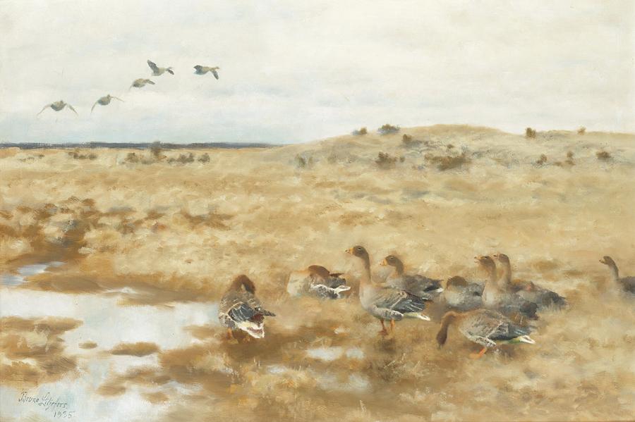 Wild Geese Painting by Bruno Liljefors - Fine Art America