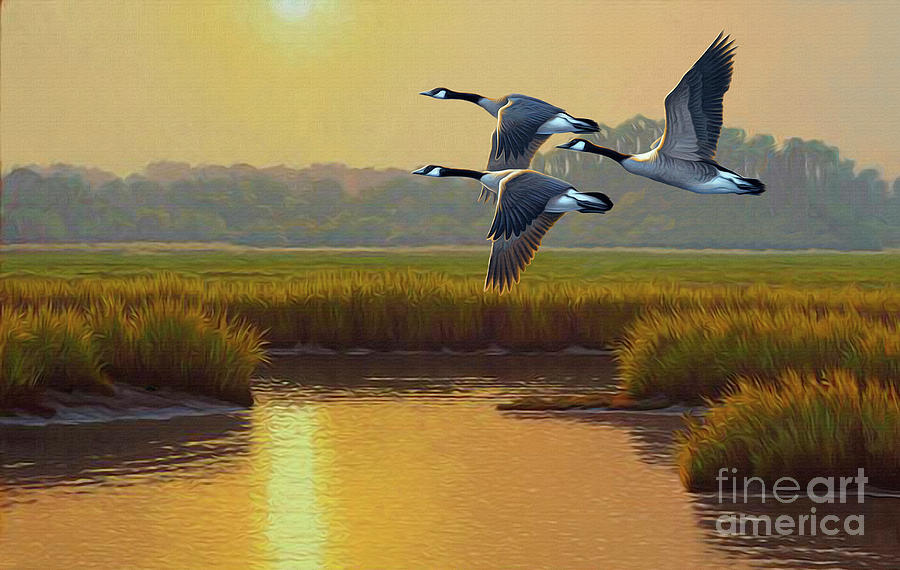 Wild Geese Marsh Digital Art by Walter Colvin