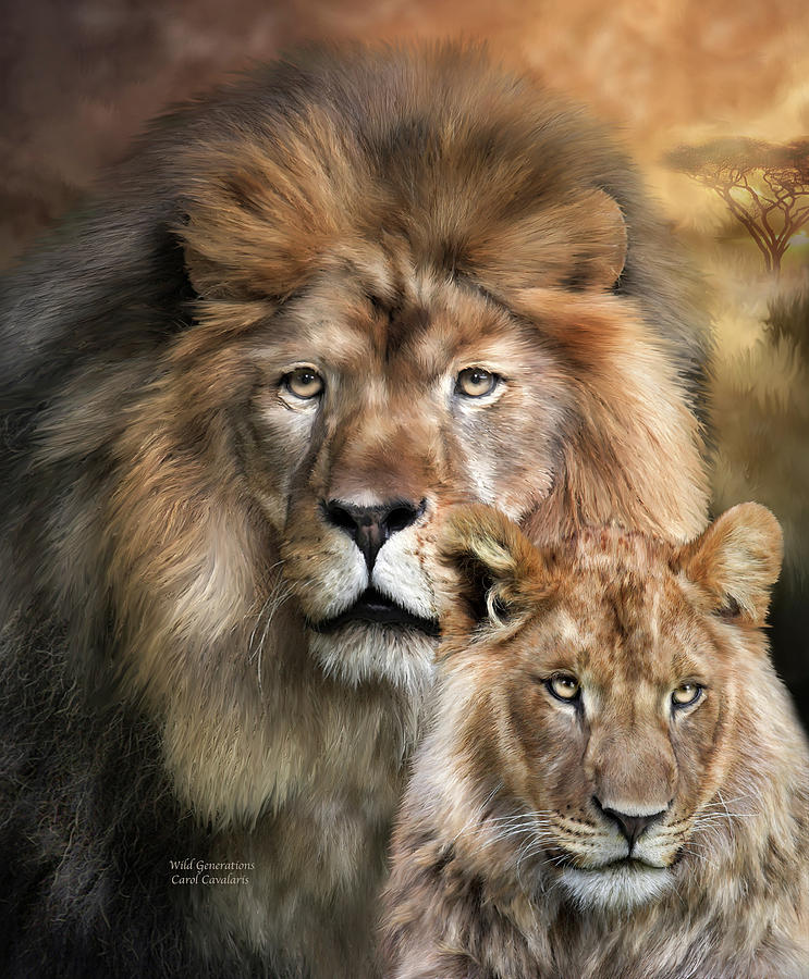 Lion Mixed Media - Wild Generations by Carol Cavalaris