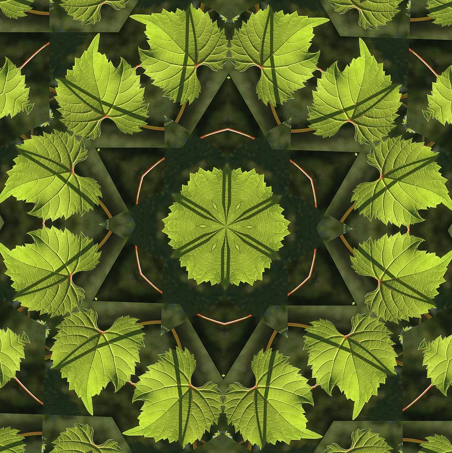 Wild Grape Leaf Kaleidoscope Photograph by Valerie Kirkwood