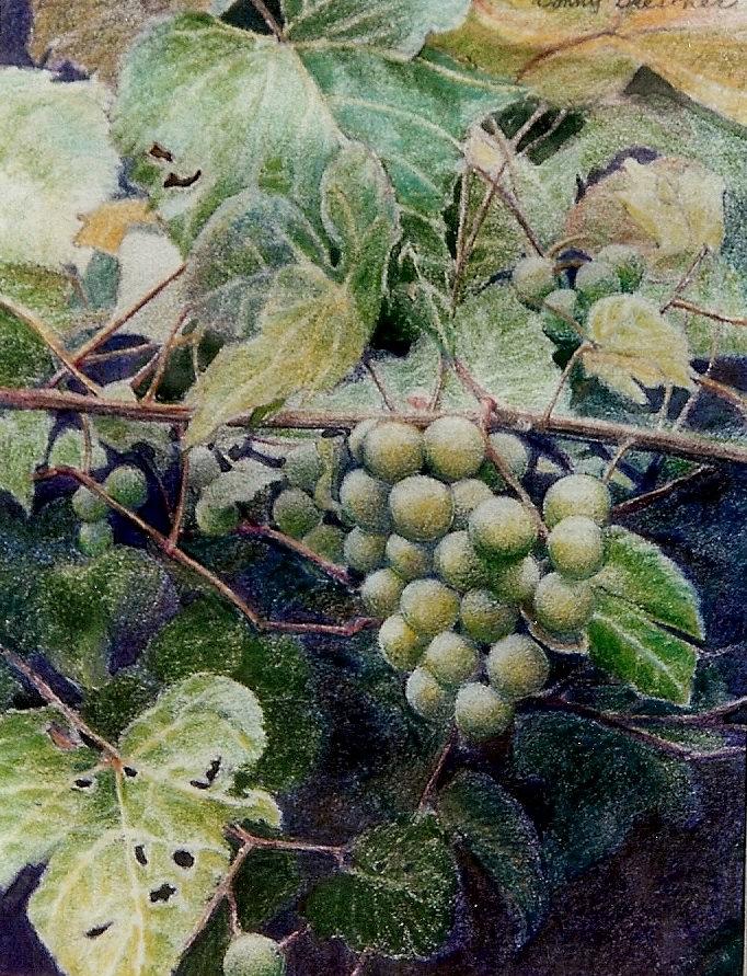 Wild grapes Painting by Constance Drescher