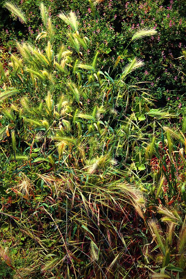 Wild Grass Garden Painting by RC DeWinter