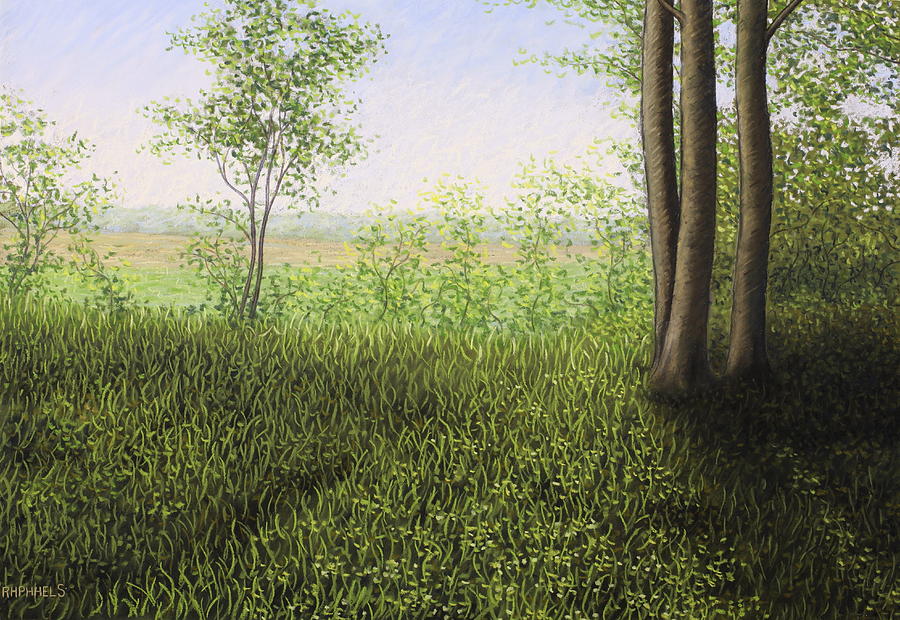 Raphael Pastel - Wild grasses, Phalempin forest in a end of spring afternoon by Raphael Seygnovert
