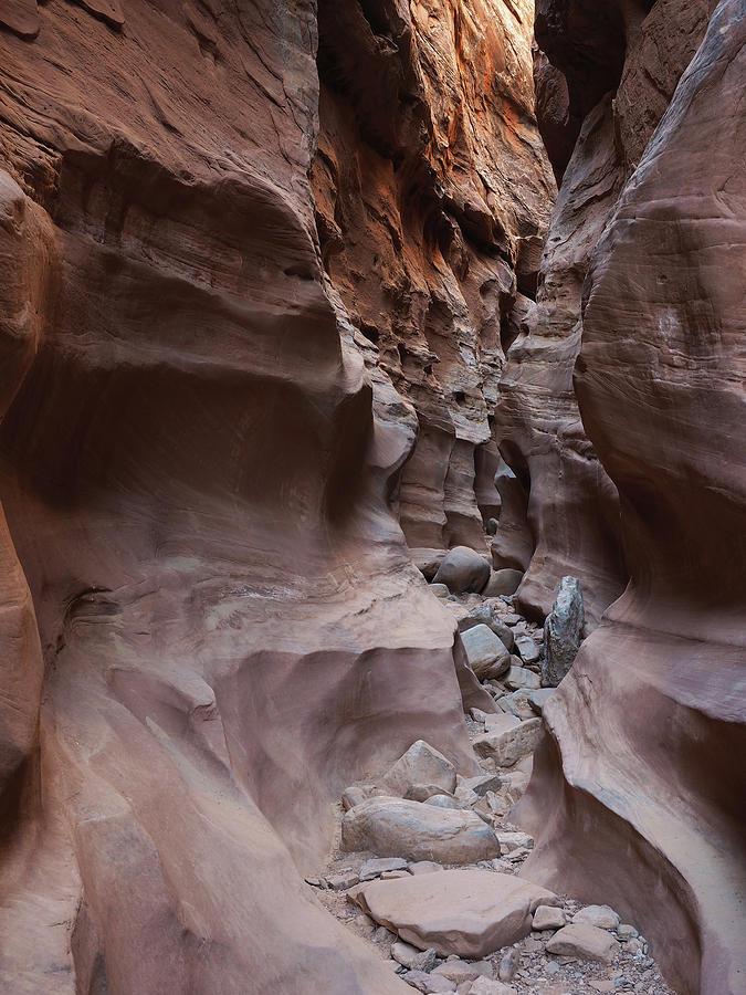 Desert Photograph - Wild Horse Canyon by Jerry Mann