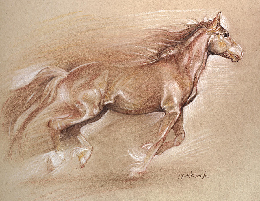 Wild Horse Drawing by Felicity Deverell  Pixels