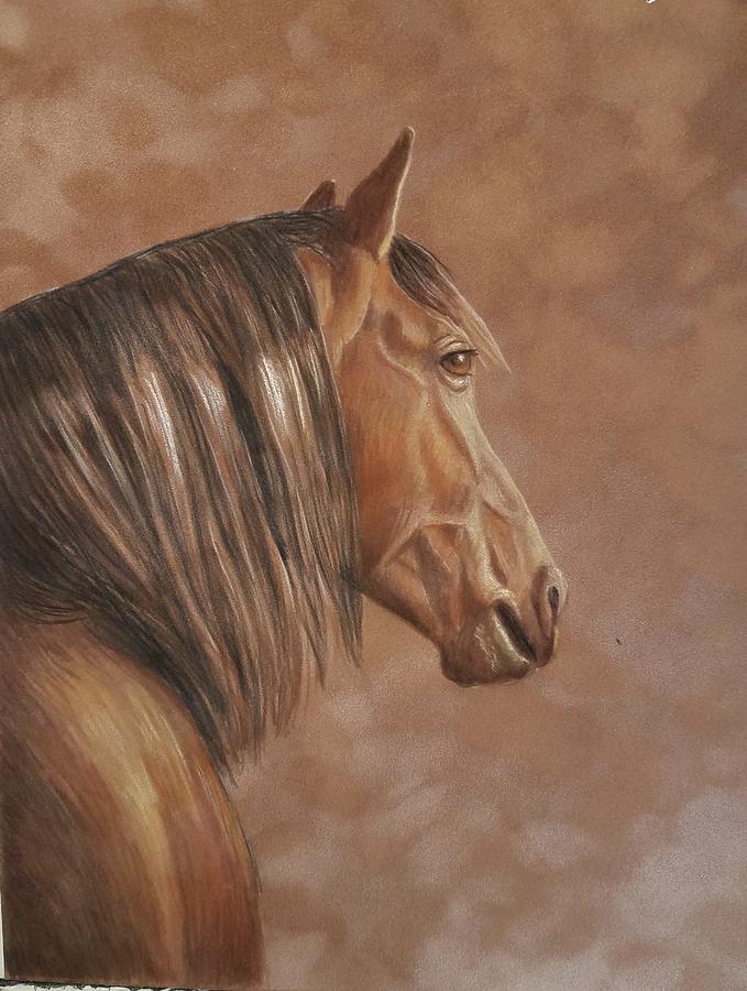 Wild Horse Mixed Media by Lorraine Foster