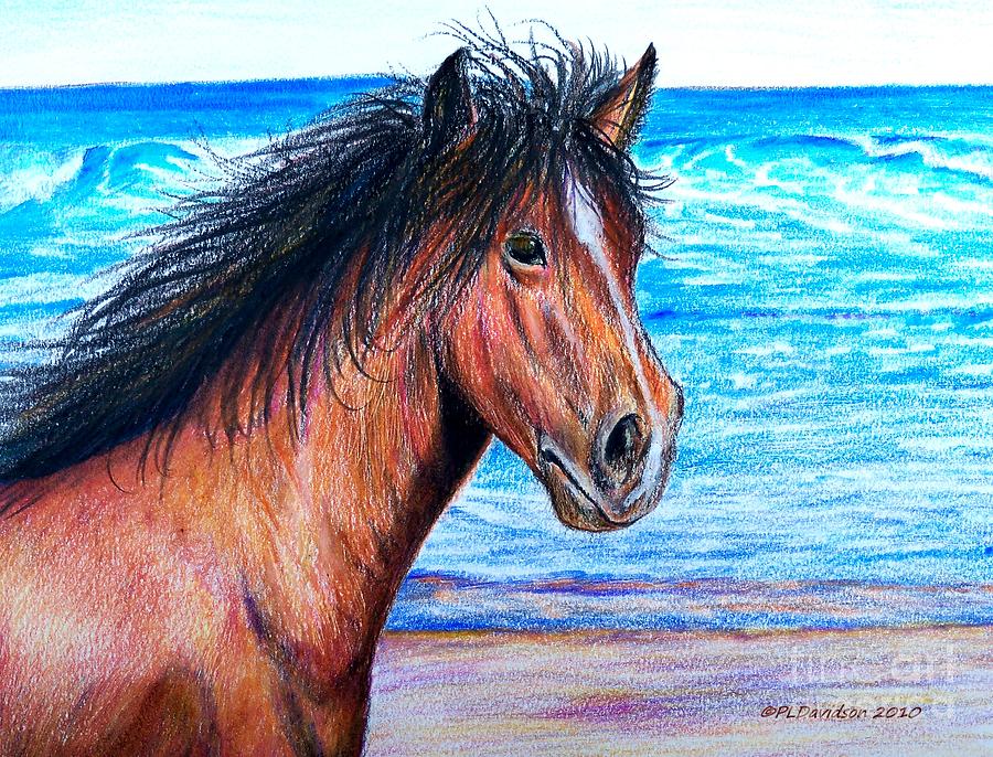Wild Horse On The Beach Drawing by Pat Davidson