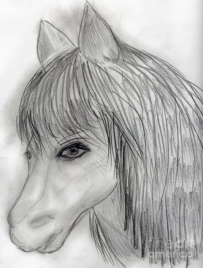 Wild Horse Drawing by Sonya Chalmers