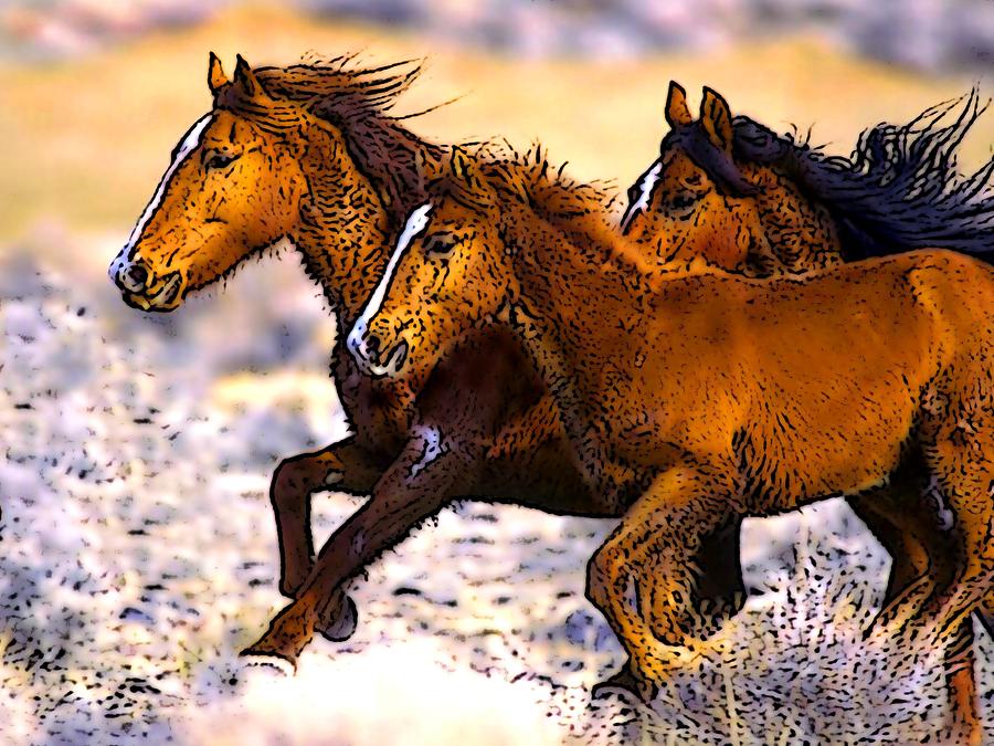 Wild Horses In Winter Digital Art by Ben Freeman