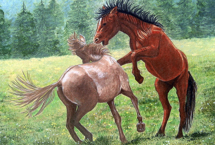 sketches of wild horses