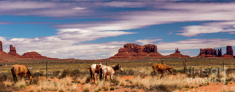 Wild Horses in Monument Valley  Photograph by Minnetta Heidbrink
