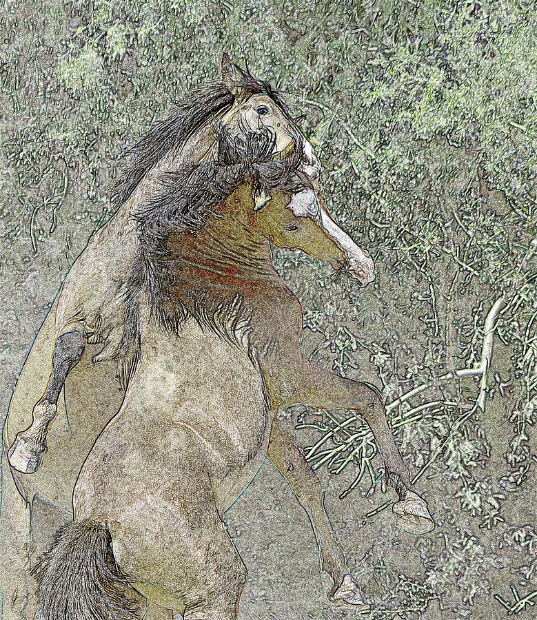 Wild Horses Photo Art 0986-082815 Photograph by Tam Ryan