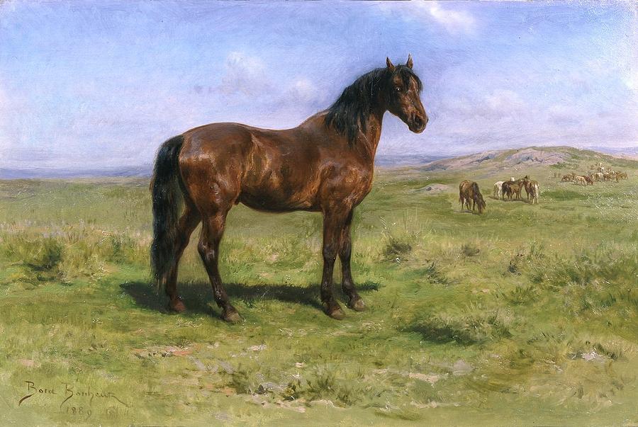 Wild Horses Painting by Rosa Bonheur