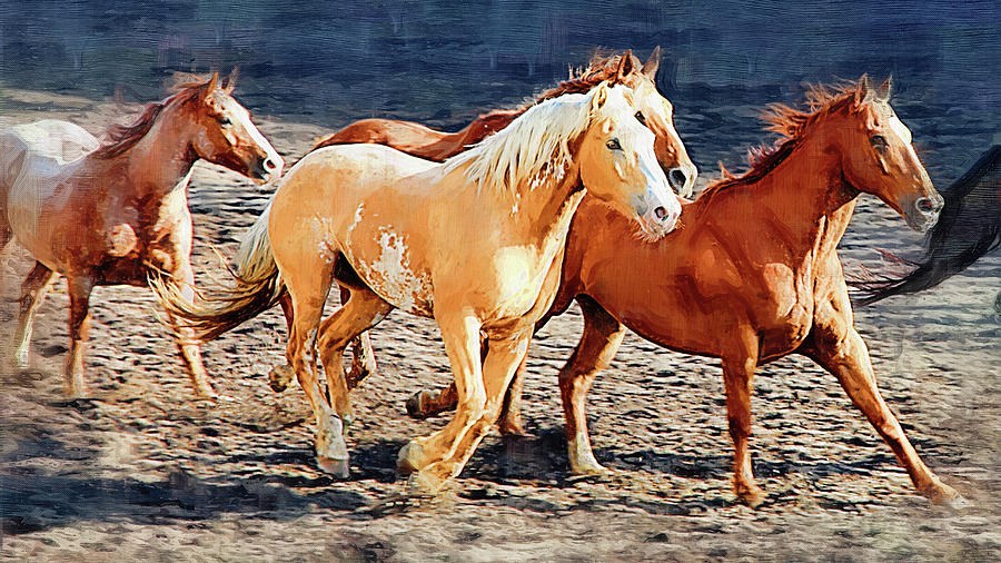 wild galloping horses