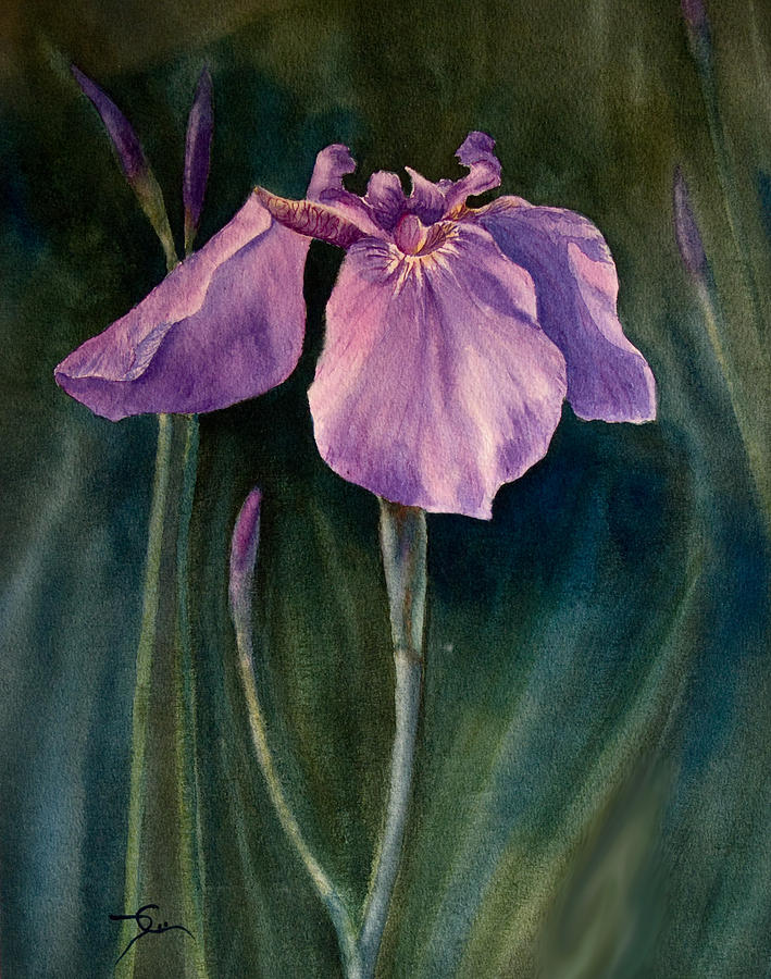 Wild Iris 6 Painting by Dee Carpenter