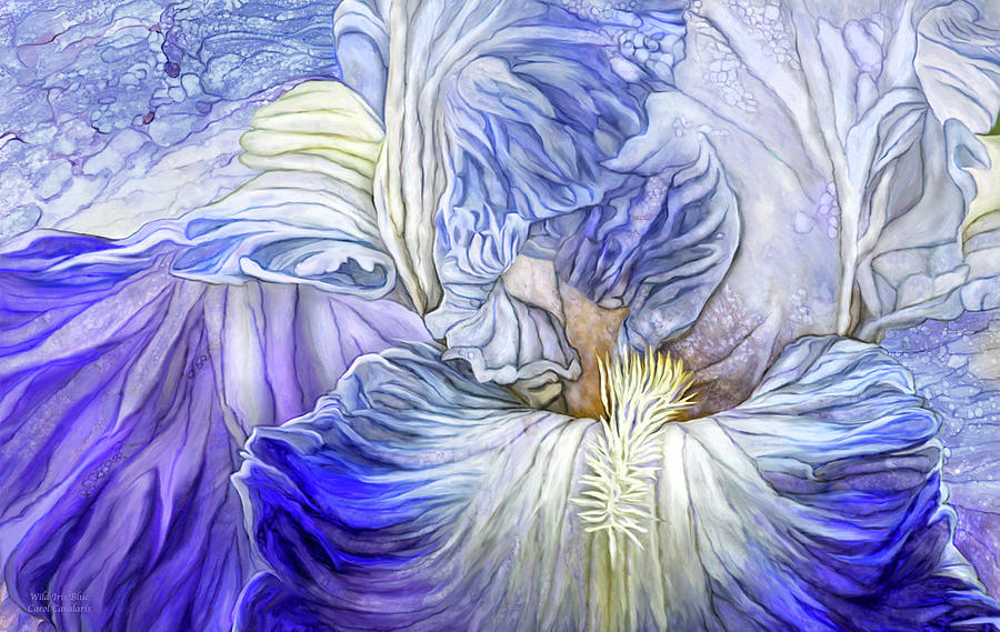 Wild Iris Blue Mixed Media by Carol Cavalaris