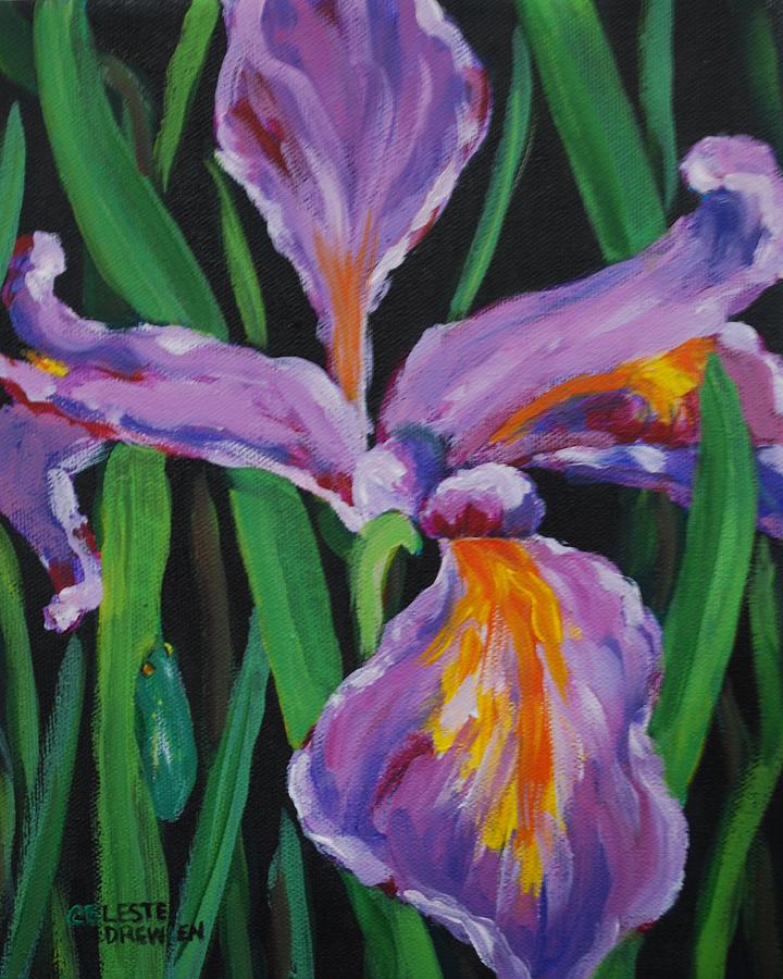 Wild Iris Painting by Celeste Drewien