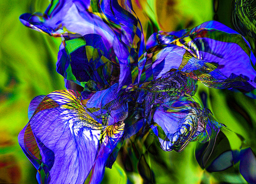 Wild Iris Digital Art by Lynellen Nielsen